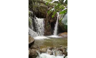 Venta finca de producción Guatape