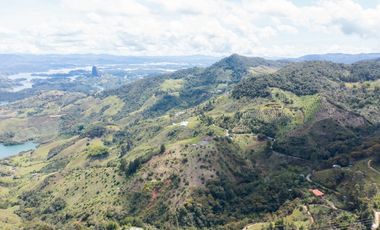 Venta finca de producción Guatape