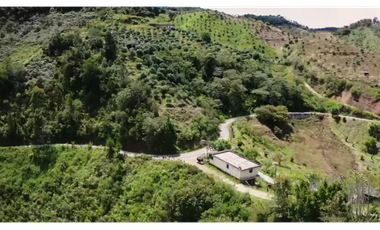 Venta finca de producción Guatape