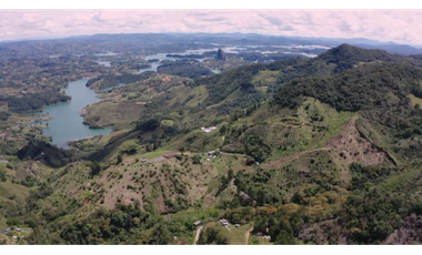 Venta finca de producción Guatape