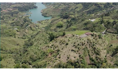 Venta finca de producción Guatape