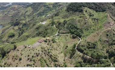 Venta finca de producción Guatape