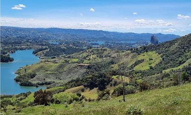 Venta finca de producción Guatape