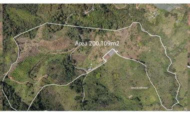 Venta finca de producción Guatape