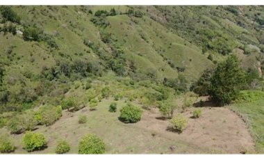 Venta finca de producción Guatape