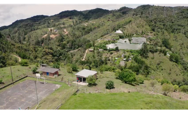 Venta finca de producción Guatape