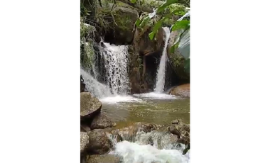 Venta finca de producción Guatape
