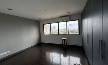 Spacious 3 Bedroom Penthouse with Roof Deck for rent