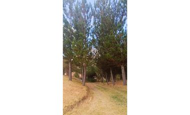 VENDO CASA DE CAMPO 3,000 M2 CCORCA CUSCO PERÚ