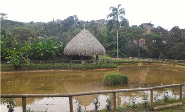 Venta lote cerca al Polideportivo, La Estrella