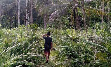 For Sale P600 per sqm only Flat Farm Land General Luna Siargao near Cloud 9