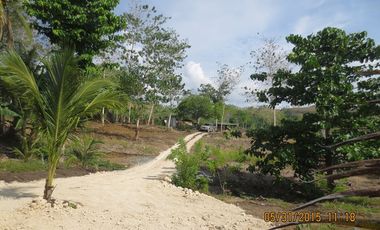 Land Rush Sale San Simon Farm Cagayan de Oro 4.6 Hectares suitable subdivision