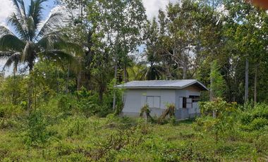 Land Rush Sale San Simon Farm Cagayan de Oro 4.6 Hectares suitable subdivision