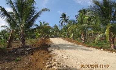 Land Rush Sale San Simon Farm Cagayan de Oro 4.6 Hectares suitable subdivision