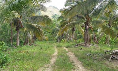 Land Rush Sale San Simon Farm Cagayan de Oro 4.6 Hectares suitable subdivision