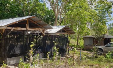 Land Rush Sale San Simon Farm Cagayan de Oro 4.6 Hectares suitable subdivision