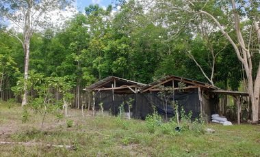 Land Rush Sale San Simon Farm Cagayan de Oro 4.6 Hectares suitable subdivision