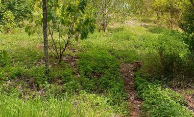 Land Rush Sale San Simon Farm Cagayan de Oro 4.6 Hectares suitable subdivision