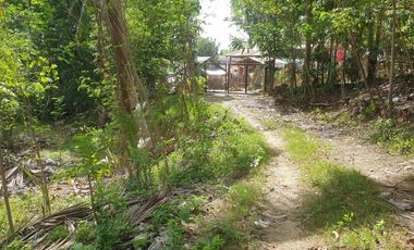 Land Rush Sale San Simon Farm Cagayan de Oro 4.6 Hectares suitable subdivision