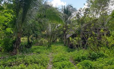 Land Rush Sale San Simon Farm Cagayan de Oro 4.6 Hectares suitable subdivision