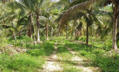 Land Rush Sale San Simon Farm Cagayan de Oro 4.6 Hectares suitable subdivision