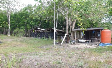 Land Rush Sale San Simon Farm Cagayan de Oro 4.6 Hectares suitable subdivision