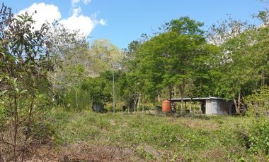 Land Rush Sale San Simon Farm Cagayan de Oro 4.6 Hectares suitable subdivision
