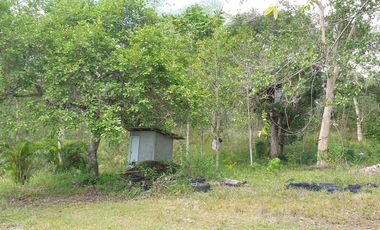 Land Rush Sale San Simon Farm Cagayan de Oro 4.6 Hectares suitable subdivision