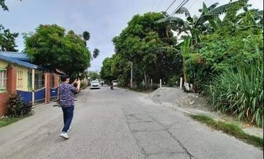4,631 sqm Farm Lot for Sale in Mamatid, Cabuyao Laguna - Clean Title