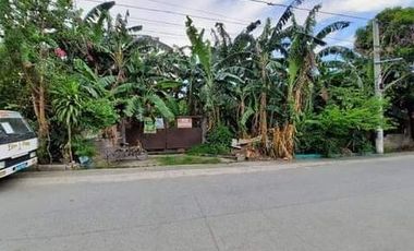 4,631 sqm Farm Lot for Sale in Mamatid, Cabuyao Laguna - Clean Title
