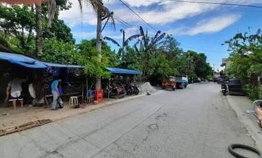 4,631 sqm Farm Lot for Sale in Mamatid, Cabuyao Laguna - Clean Title