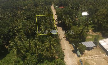 For Sale Fenced and Landscaped Property in Camotes Island, Cebu in Consuelo