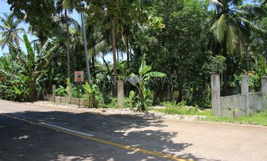 For Sale Fenced and Landscaped Property in Camotes Island, Cebu in Consuelo