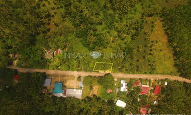 For Sale Fenced and Landscaped Property in Camotes Island, Cebu in Consuelo