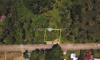 For Sale Fenced and Landscaped Property in Camotes Island, Cebu in Consuelo