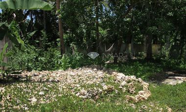 For Sale Fenced and Landscaped Property in Camotes Island, Cebu in Consuelo