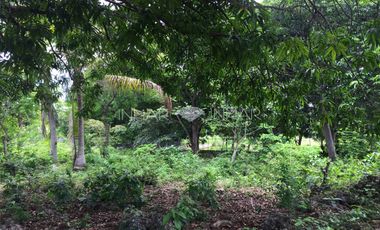 Residential lot for sale along the road in Camotes Island, San Francisco, Cebu