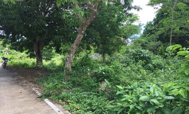 Residential lot for sale along the road in Camotes Island, San Francisco, Cebu