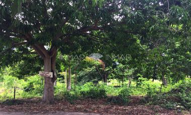 Residential lot for sale along the road in Camotes Island, San Francisco, Cebu