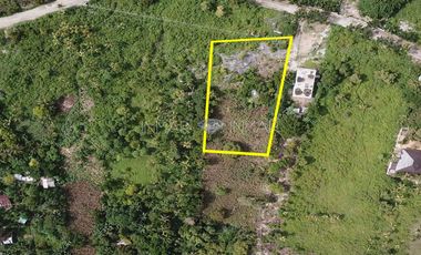 Lot for sale in Tulang Daku - Camotes Island, Cebu