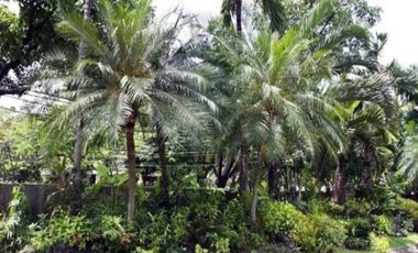 For Sale: Spacious 5 Bedroom House in Forbes Park, Makati City