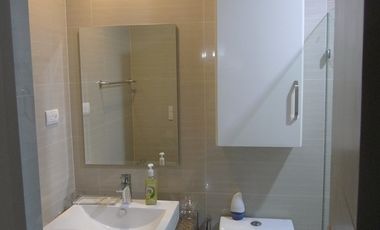 2BR Condo W/ Parking For Sale in Newport, Pasay City - Palm Tree Villa 2