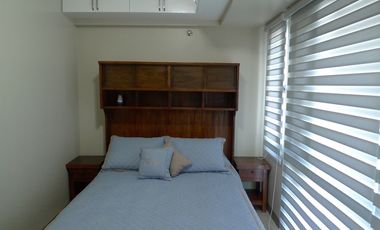 2BR Condo W/ Parking For Sale in Newport, Pasay City - Palm Tree Villa 2