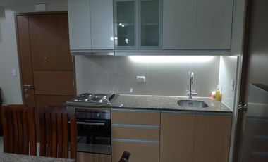 2BR Condo W/ Parking For Sale in Newport, Pasay City - Palm Tree Villa 2