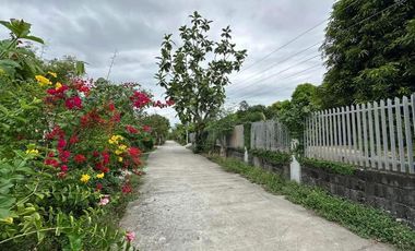 3 Hectare Farm House Resort with 5 Houses in Lubao Pampanga