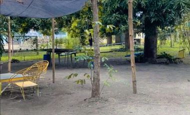 3 Hectare Farm House Resort with 5 Houses in Lubao Pampanga