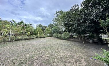 3 Hectare Farm House Resort with 5 Houses in Lubao Pampanga