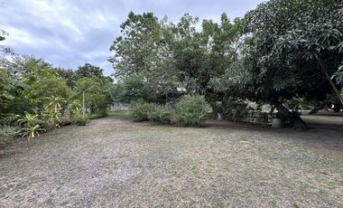 3 Hectare Farm House Resort with 5 Houses in Lubao Pampanga