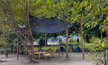 3 Hectare Farm House Resort with 5 Houses in Lubao Pampanga