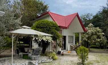 3 Hectare Farm House Resort with 5 Houses in Lubao Pampanga